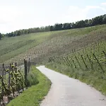Penzion Gaestehaus Burgberg, Weinhaus Fries 3*