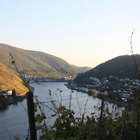 Gaestehaus Burgberg, Weinhaus Fries בית הארחה 3*