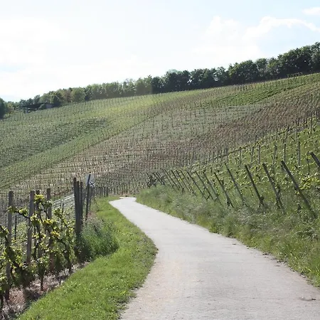 בית הארחה Gaestehaus Burgberg, Weinhaus Fries 3*