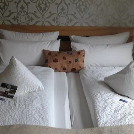 Penzion Gaestehaus Burgberg, Weinhaus Fries 3*
