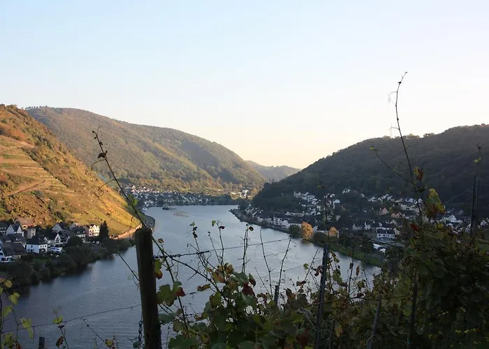 Gaestehaus Burgberg, Weinhaus Fries Konukevi 3*