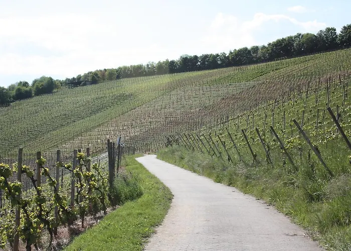 게스트하우스 Gaestehaus Burgberg, Weinhaus Fries 3*