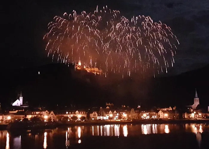 城堡山弗里斯酒馆及旅馆 招待所 3*