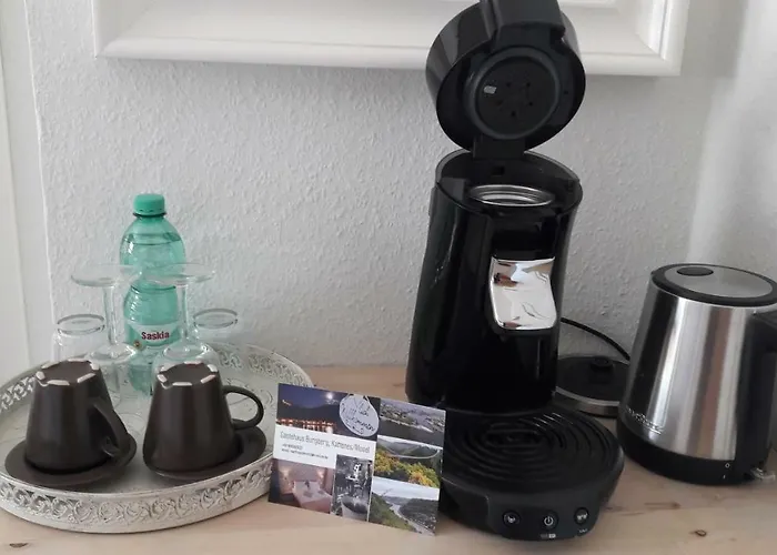 城堡山弗里斯酒馆及旅馆 3*